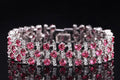 White Gold Color Luxury White And Royal Blue CZ Crystal Stone Bracelets Bangles